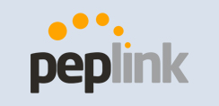 Peplink